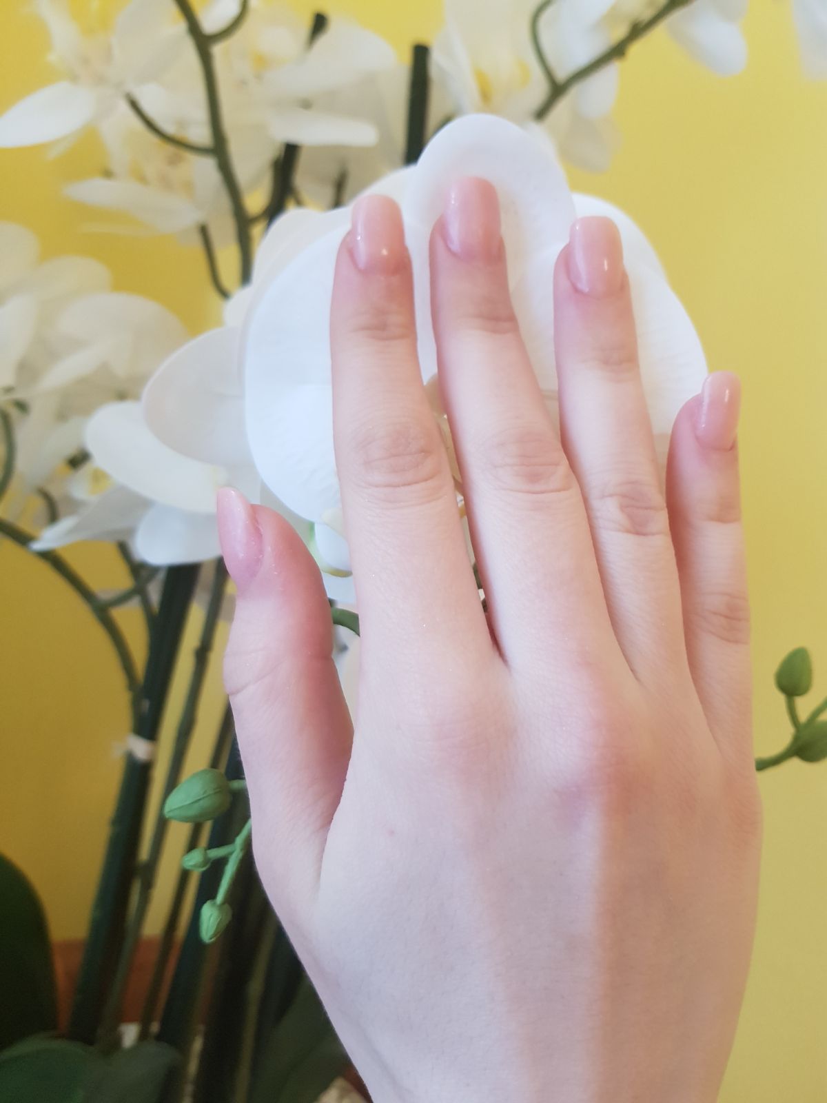 Jenya-Nails-Nägel-Kosmetik-Wimpern-2